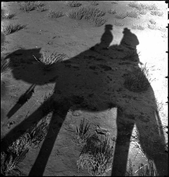 Shadow of a camel and two people, 1936. Photo by CP Mountford.