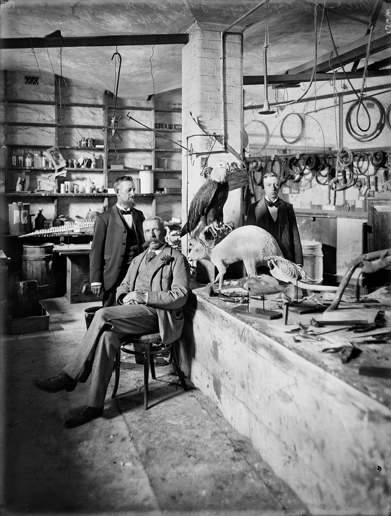 Otto Rau standing at left with his brother Julius at right, with Museum Director Edward C Stirling in 1898.  [PRG 631/45/39] 