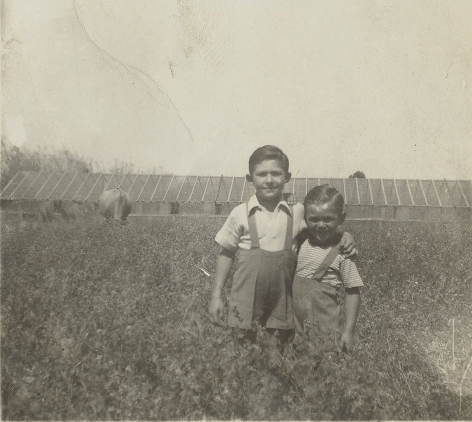 Johnny and his younger brother, Romano, in front of glass houses at the family’s first market garden in Kidman Park, 1945.
