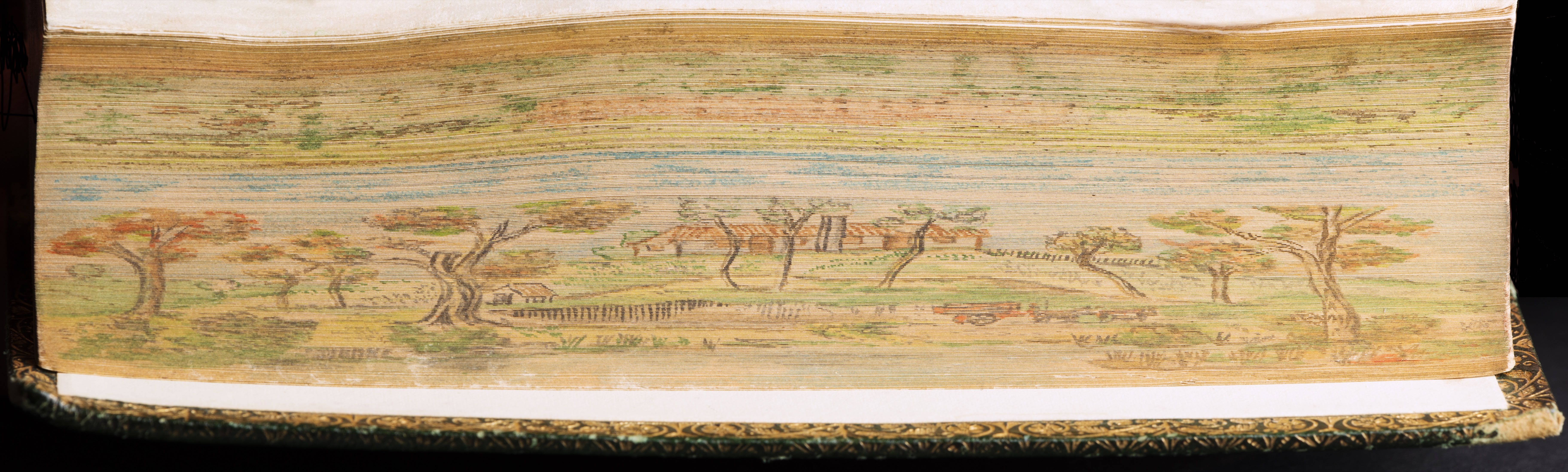 Fore-edge of Government Hut.