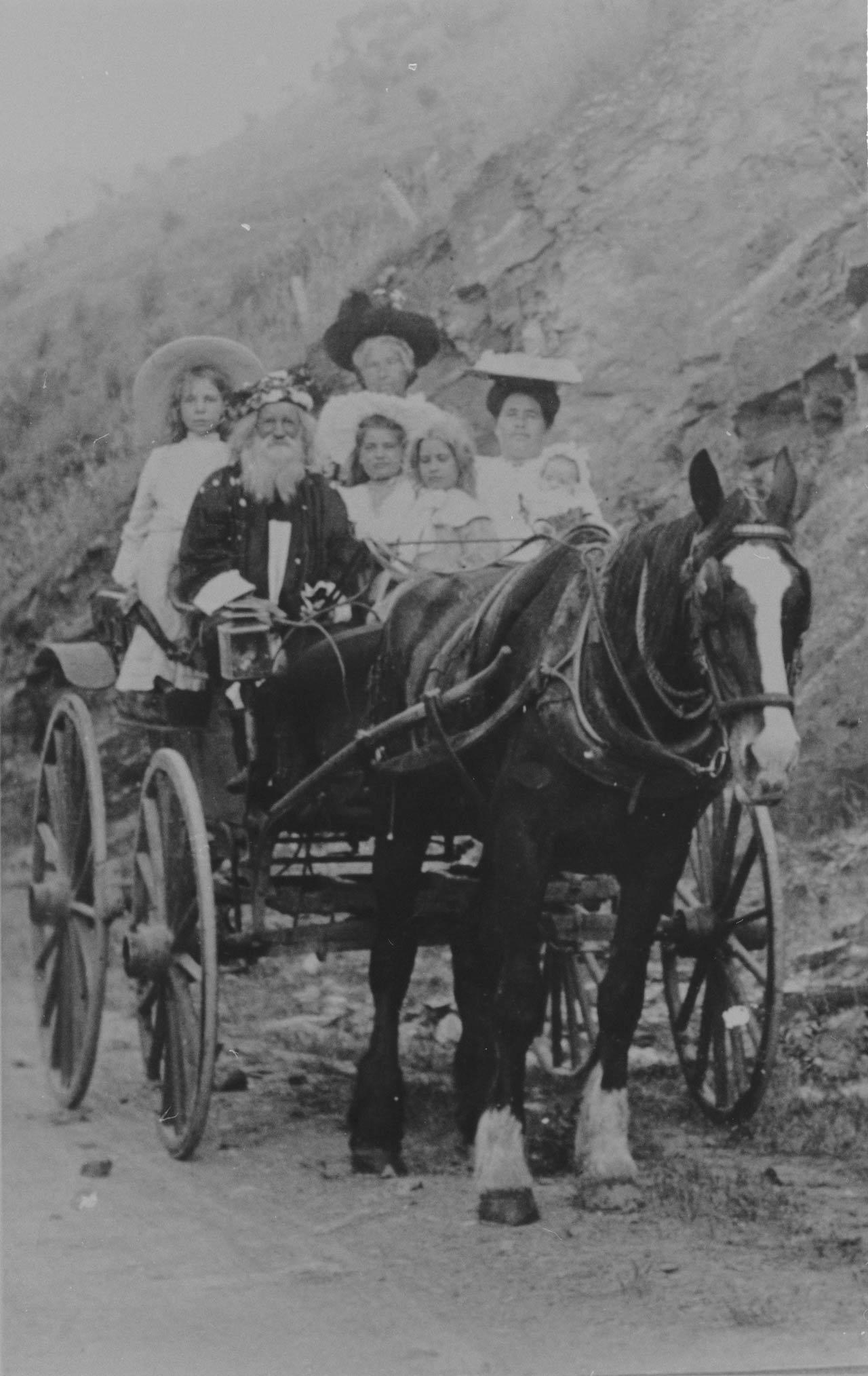 William Gray driving a buggy cart SLSA: B 63558