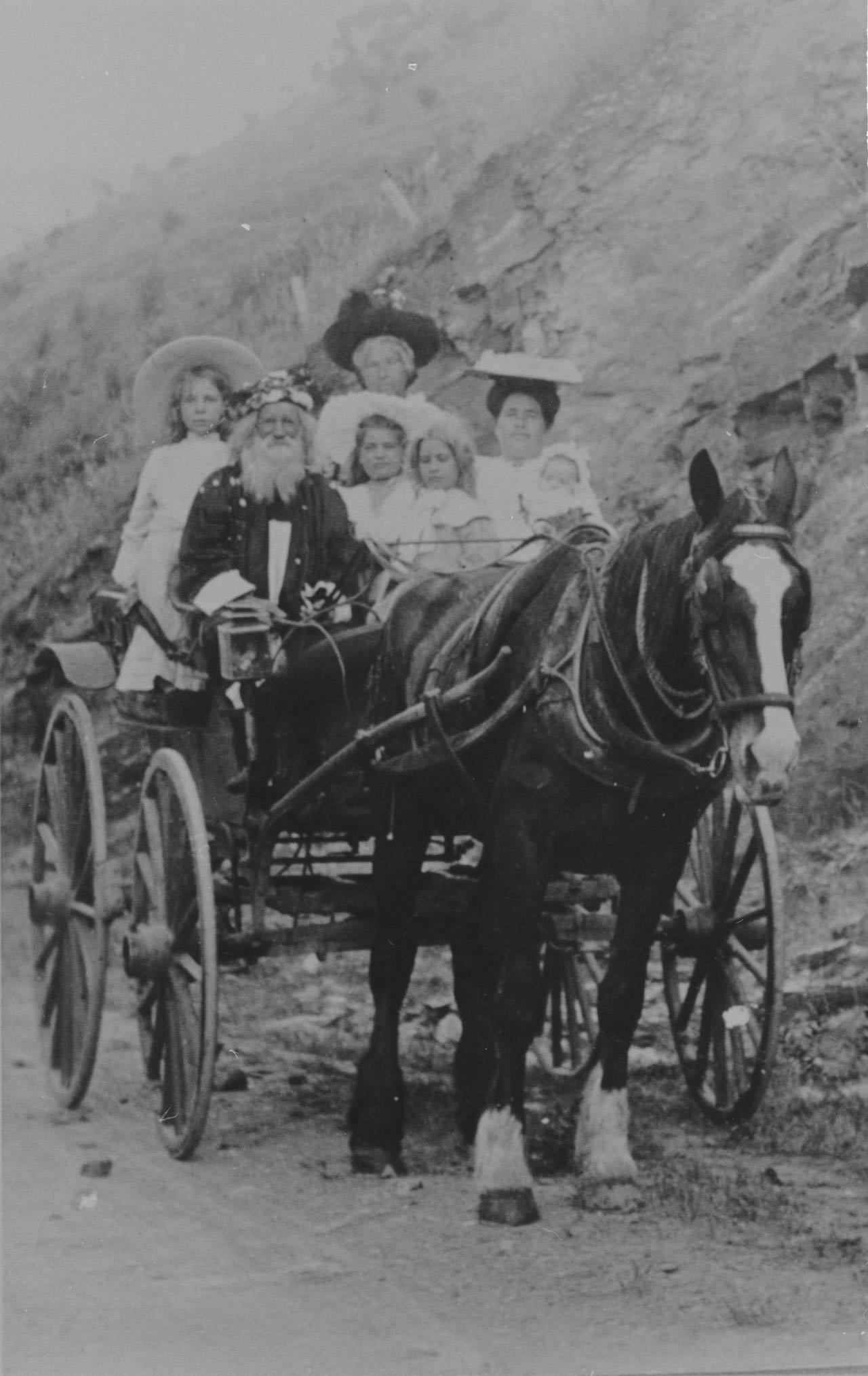 William Gray driving a buggy cart SLSA: B 63558