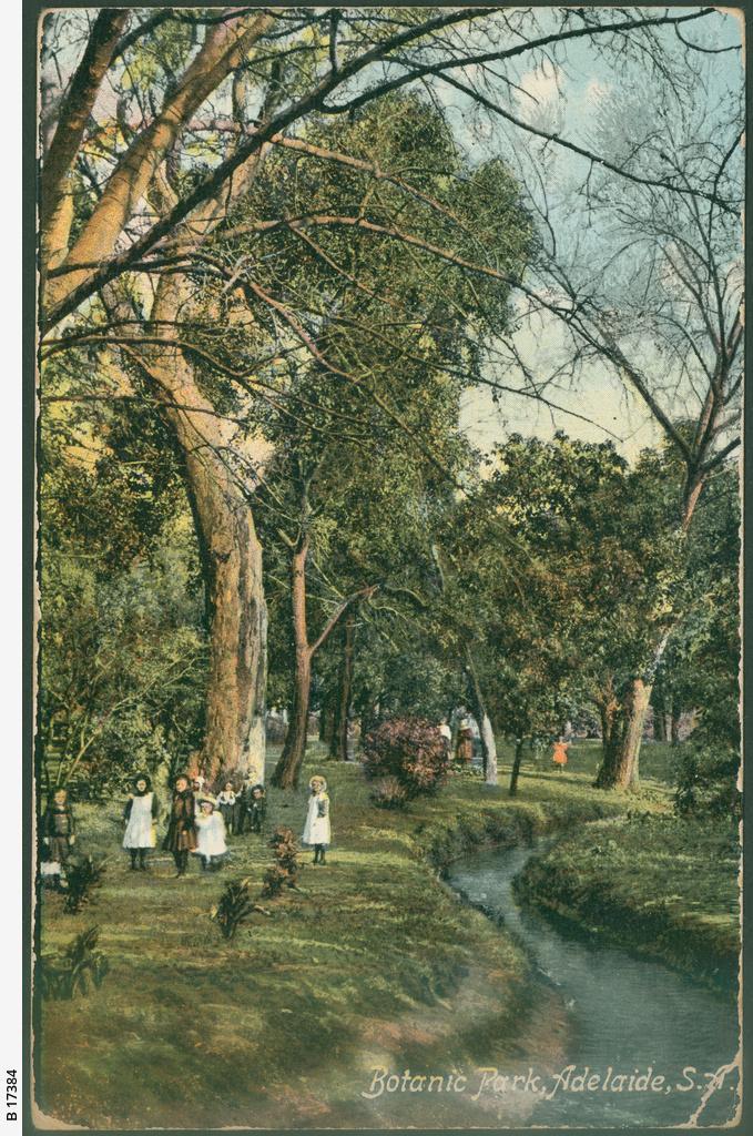 Botanic park, 1900. SLSA: B 17384