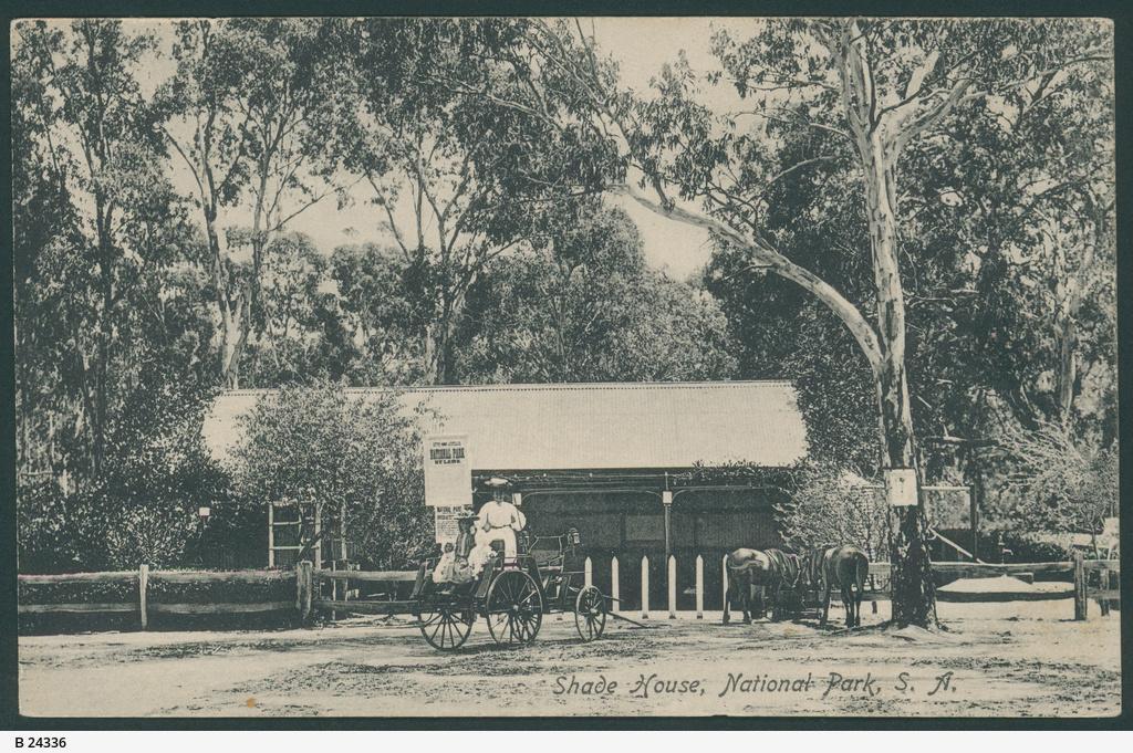 Belair National Park shade house SLSA: B 24336.jpeg