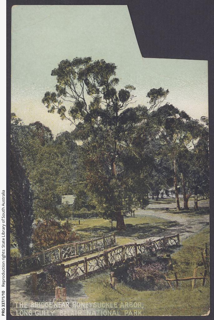 Belair National Park Bridge Postcard app 1907 to 1913. SLSA: PRG337-1-10
