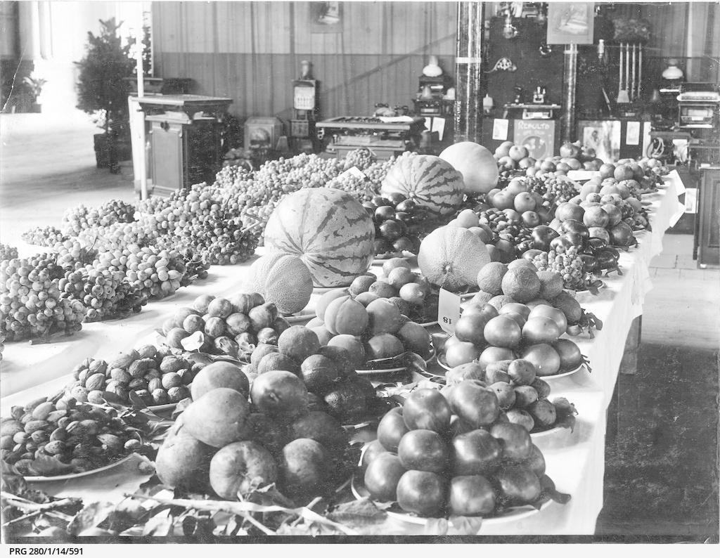 A display of grapes, fruit and nuts at the Autumn Show, 1912. SLSA: PRG 280/1/14/591