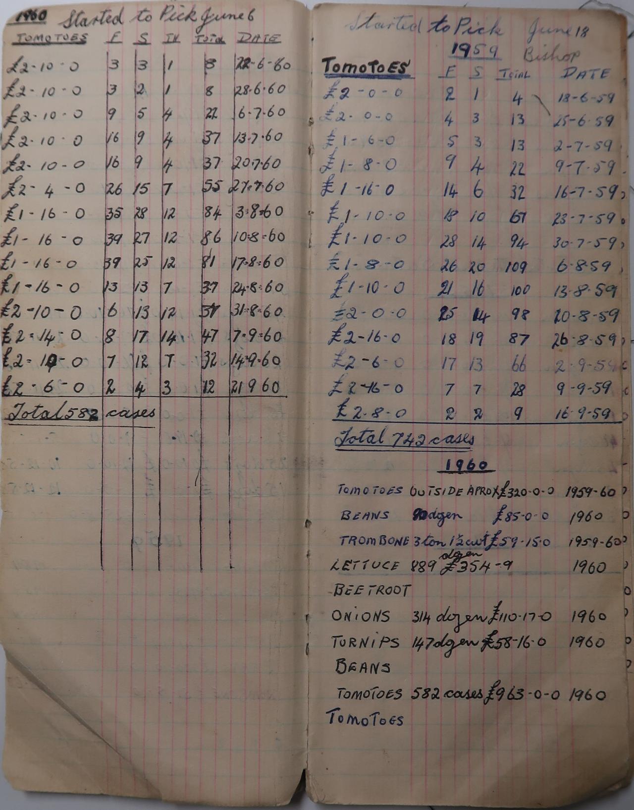 Handwritten records of tomato sales in 1959 and 1960.