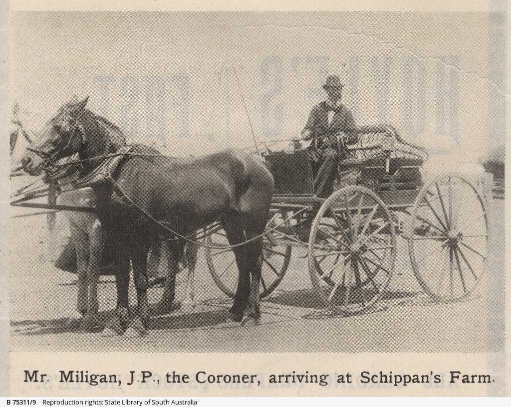 'Mr Miligan, J.P., the Coroner, arriving at Schippan's Farm Photograph published in 'The Critic' newspaper on 18 January 1902. SLSA: B 75311/9 