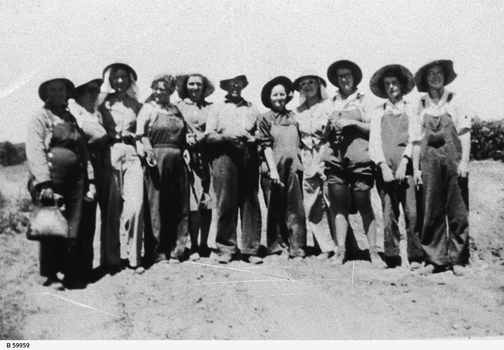 Women picking grapes during WW2. SLSA: B 59959