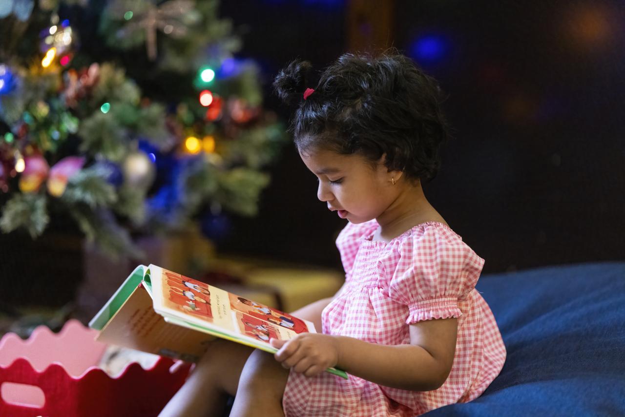 Christmas at the Mortlock - reading