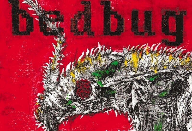bed bug