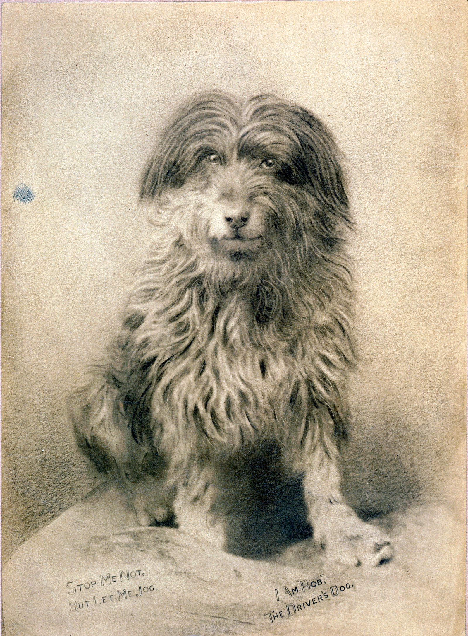 Bob the railway dog, c 1892, B 26282/1