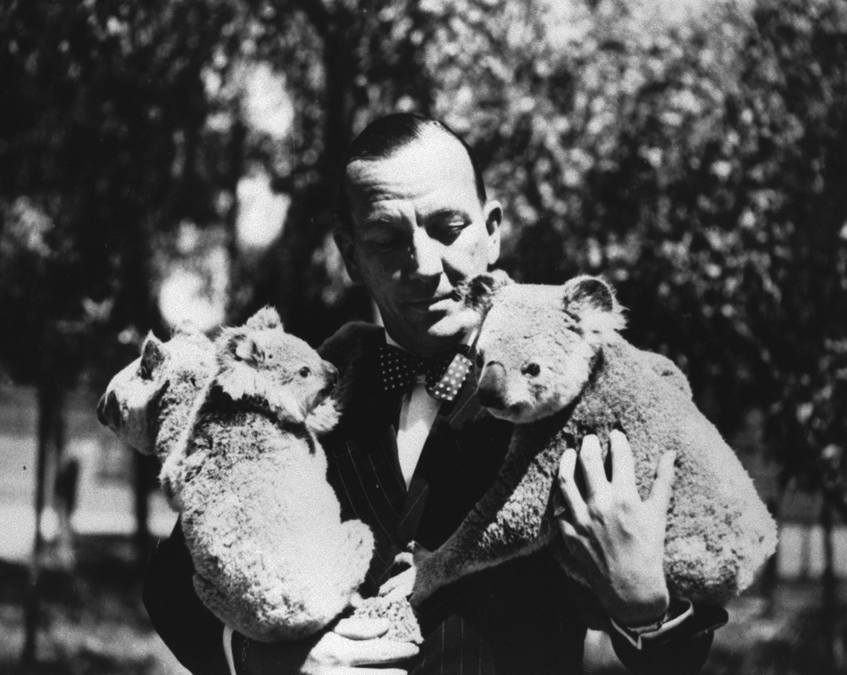 Noel Coward at the Koala Farm [B 61595]