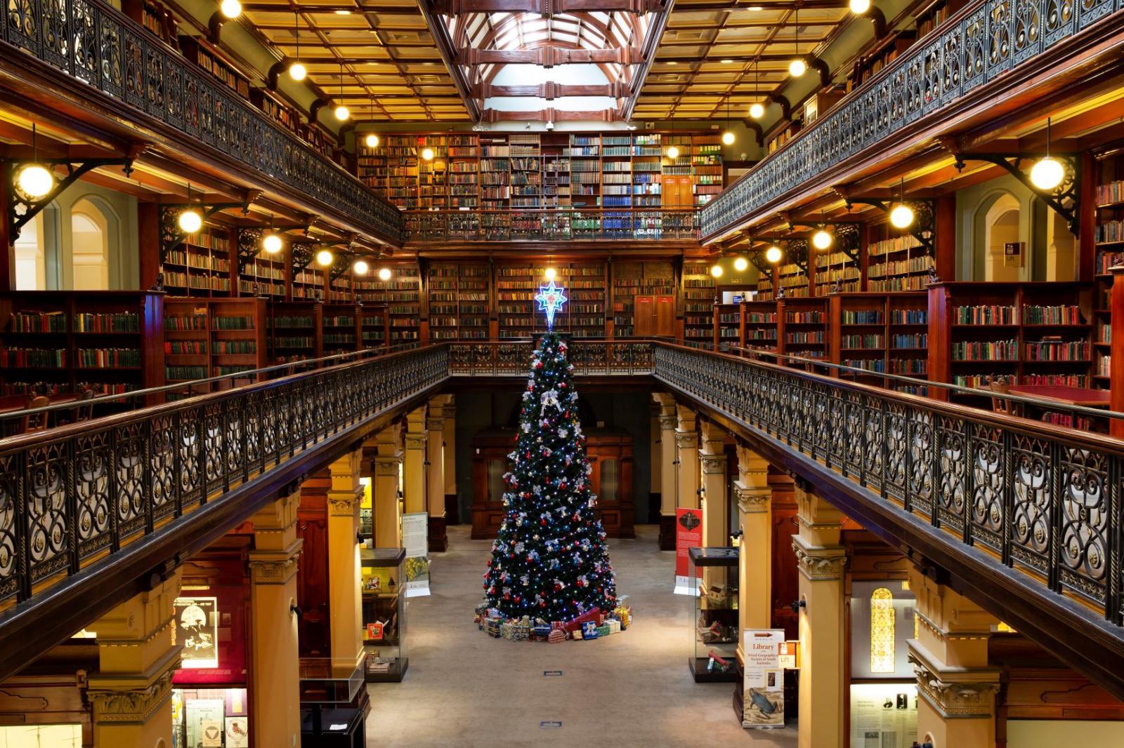 Christmas tree lit up in the Mortlock Chamber, State Library of South Australia