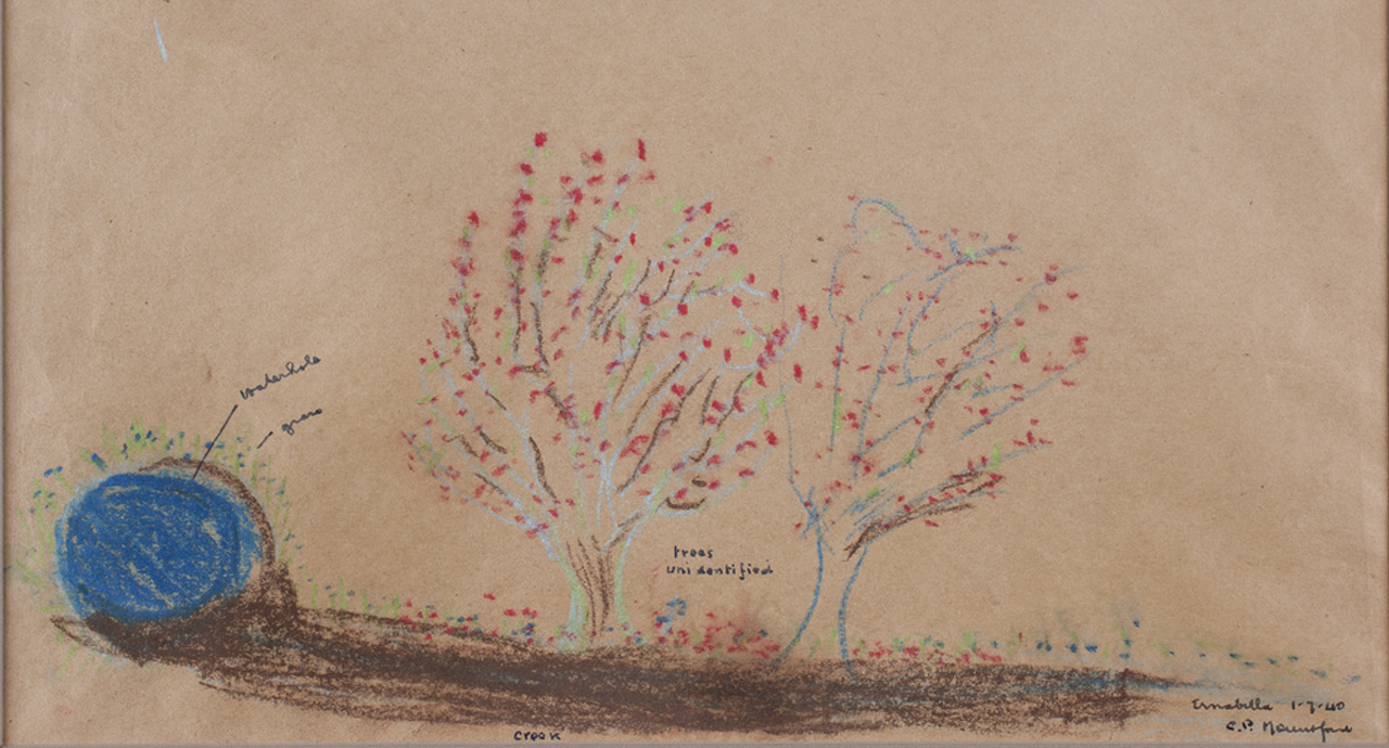 Chalk and crayon drawing showing waterhole, grass, creek and trees