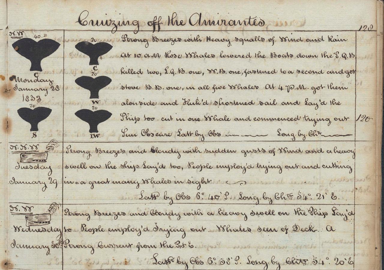 A crop of page 11 of Burton's Whaling Journal