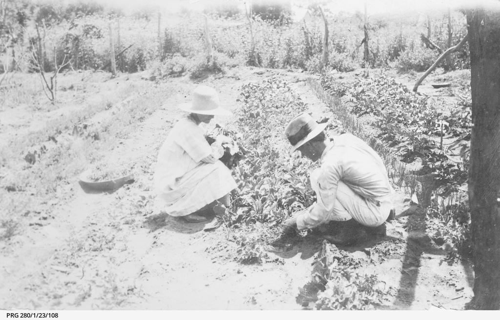 A mana and woman working in a vegetable garden