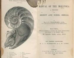 Title page of the book - A manual of the Mollusca : a treatise on recent and fossil shells