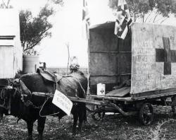 Australia Day Float, Two Wells, 1917. SLSA: B 16417/31