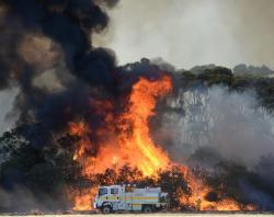 Kangaroo Island bushfire [SLSA: B 78536/5] 