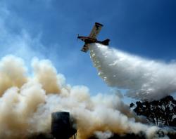 Kangaroo Island bushfire [SLSA: B 78536/7] 