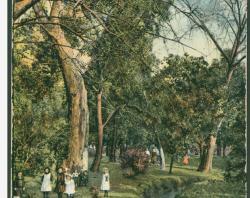 Botanic park, 1900. SLSA: B 17384