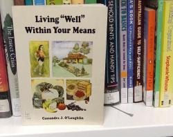 Living well within your means
