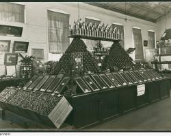 Fruit display at the Royal Adelaide Show, 1927. SLSA: SRG 168/1/58/12