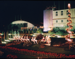 Christmas brewery lights, circa 1972. SLSA: PRG 1681/19/89