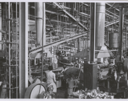 Automatic can-making machinery used to manufacture jam tins and condensed milk cans, c1951. SLSA: BRG 9/36/188 