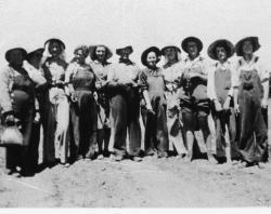 Women picking grapes during WW2. SLSA: B 59959