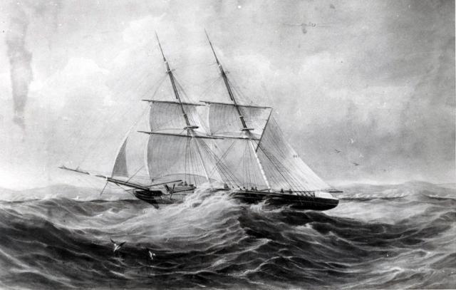 SS 'Admella'. SLSA B 41900