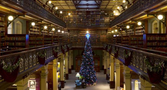 Large Christmas Tree in the Mortlock Chamber