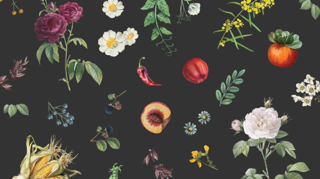 colourful flowers and fruits on a black blackground