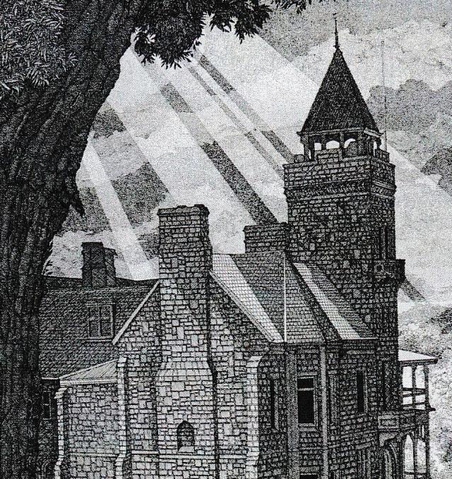 Artwork D. Braun
