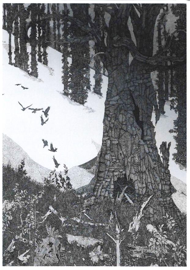 David Braun, Winnong entry 2025