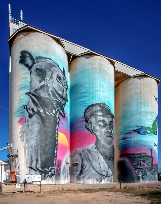 by Fernando M Goncalves