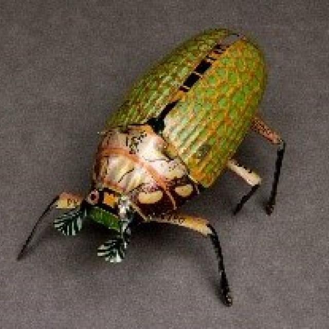 Playful Past Digital Resource - Clockwork Beetle CLRCR i1584642
