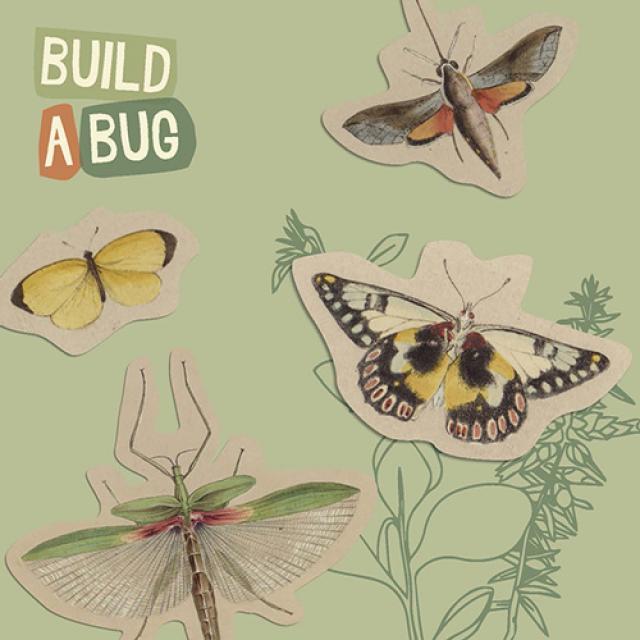 Build a bug, family fun activity at the State Library of SA