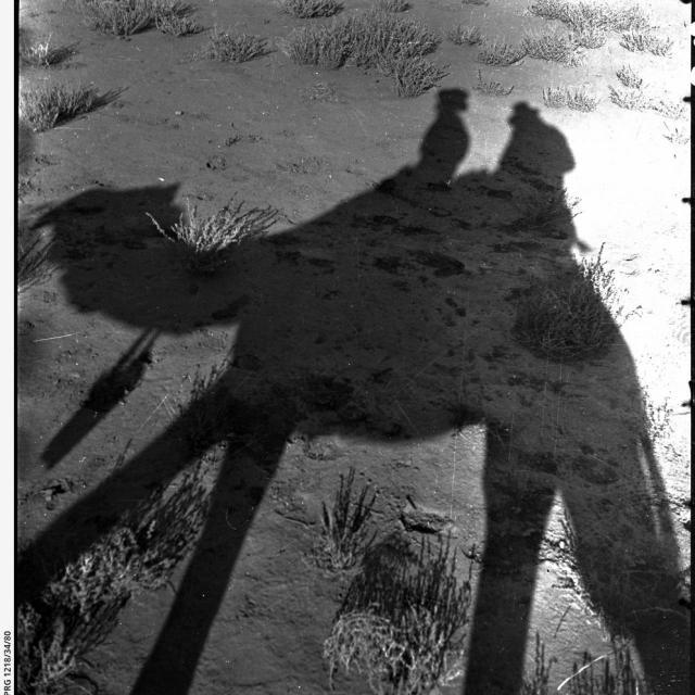 Shadows of camels and people (SLSA: PRG-1218-34-80)