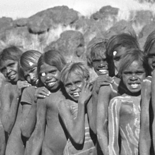 Indigenous collections