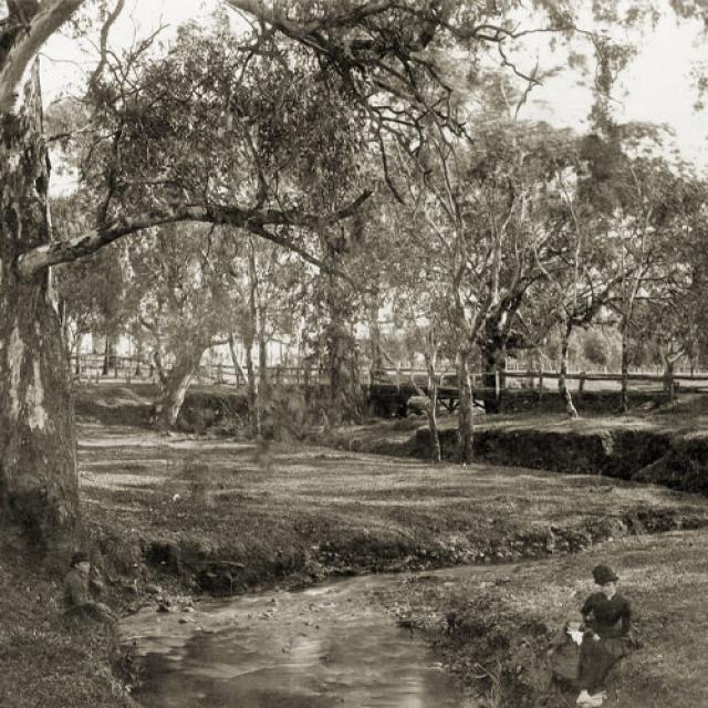 Brownhill Creek, Mitcham, Samuel Sweet. SLSA: B 3723