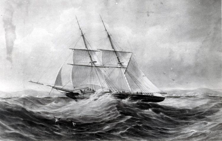 SS 'Admella'. SLSA B 41900