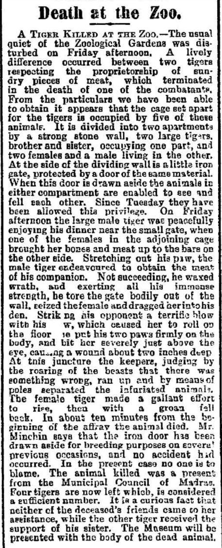 Death at the zoo, article from the Evening Journal 18 may 1889