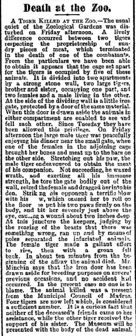 Death at the zoo, article from the Evening Journal 18 may 1889
