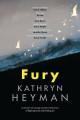 Book cover Fury