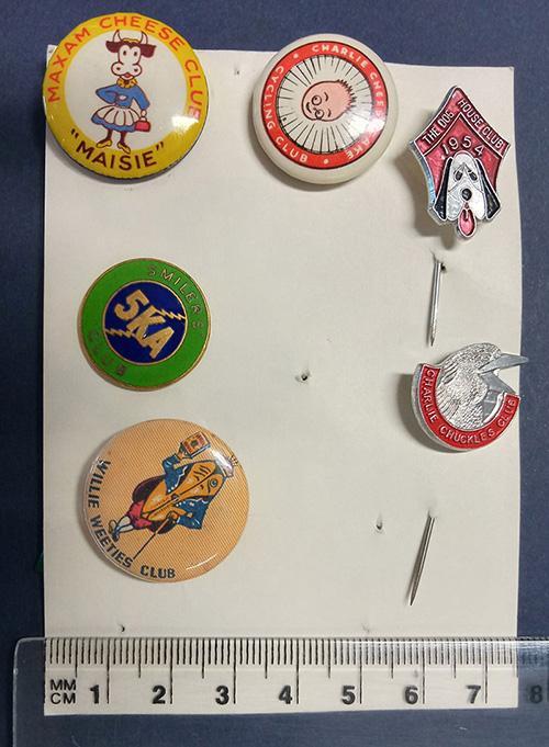 A set of badges pinned to a piece of cardboard.