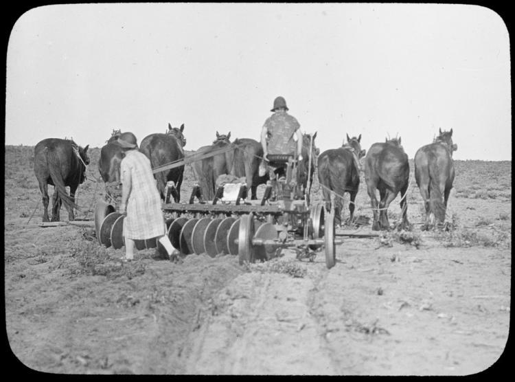Two women working horse-drawn plough-Kalgoorlie-WA-c 1927
