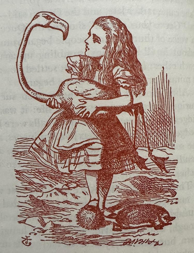 Alice In Wonderland, illustration by John Tenniel. SLSA: OS/19CAR