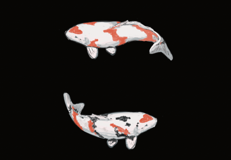 Legend of the Koi